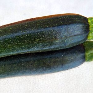 Zucchine verdi scure