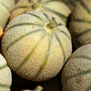 Melone