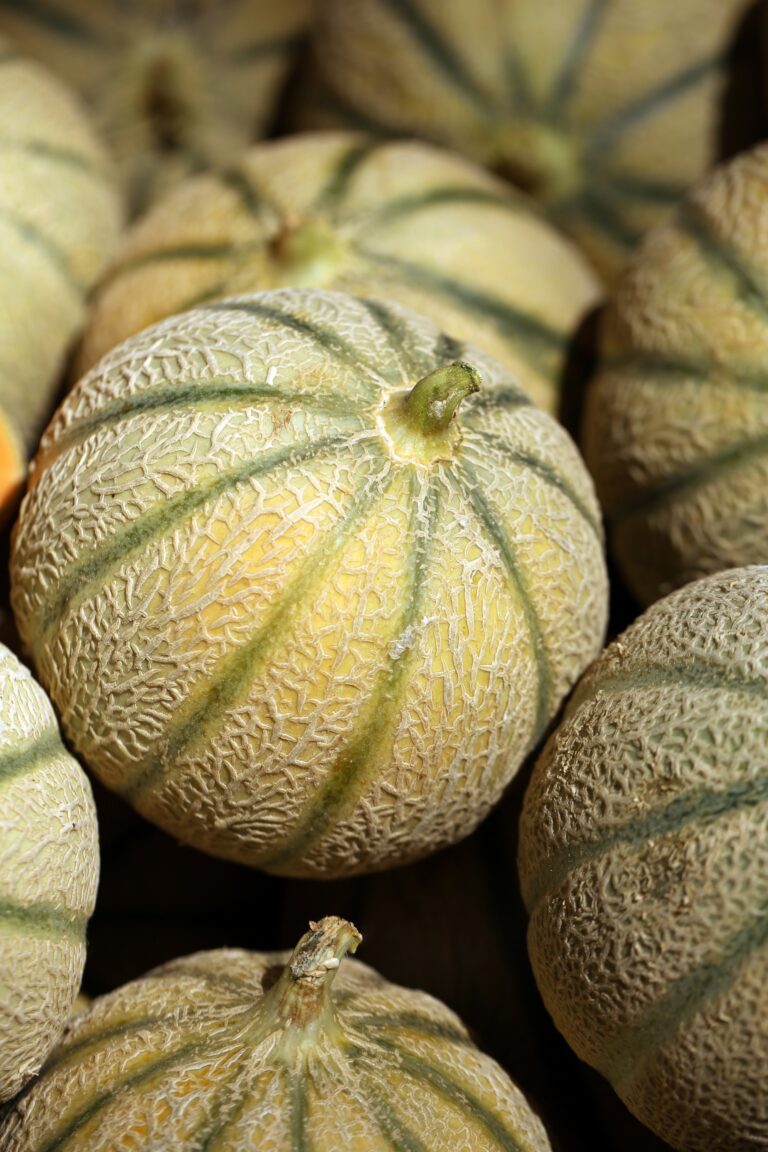 Melone