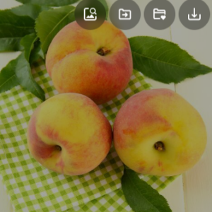 Pesche gialle